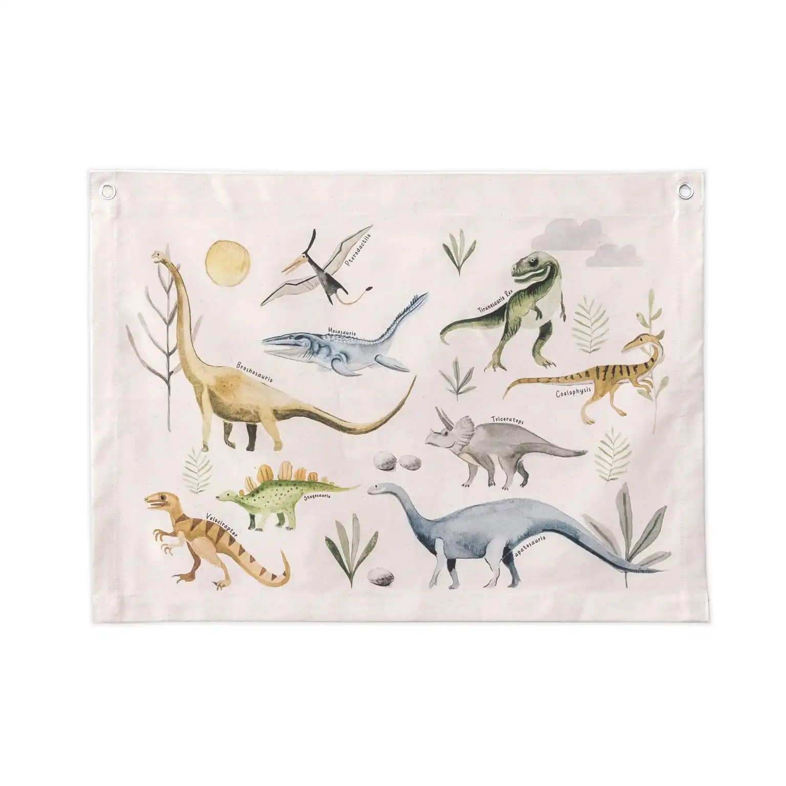 Product Image 0