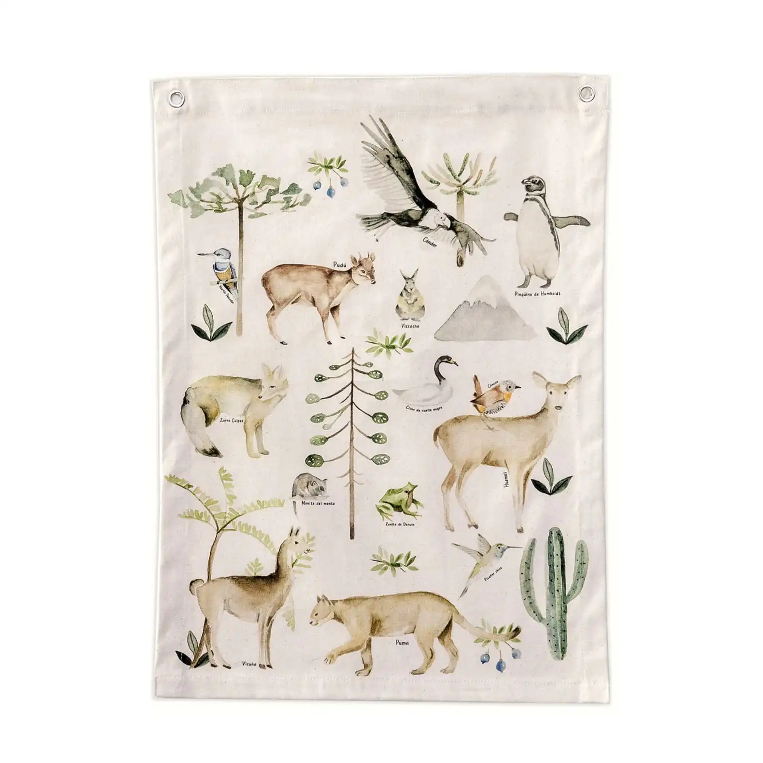 Product Image 0